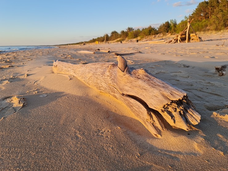 Travelnews.lv pirmo reizi apmeklē Gaujas ietekas labo krastu un Rīgas jūras līča pludmali saulrietā 301296
