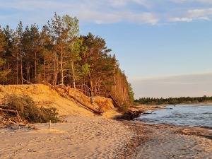 Travelnews.lv pirmo reizi apmeklē Gaujas ietekas labo krastu un Rīgas jūras līča pludmali saulrietā 12