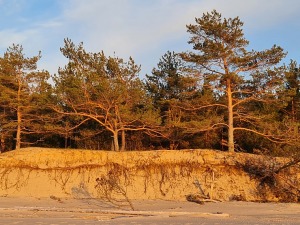 Travelnews.lv pirmo reizi apmeklē Gaujas ietekas labo krastu un Rīgas jūras līča pludmali saulrietā 13