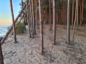 Travelnews.lv pirmo reizi apmeklē Gaujas ietekas labo krastu un Rīgas jūras līča pludmali saulrietā 29