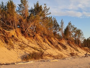 Travelnews.lv pirmo reizi apmeklē Gaujas ietekas labo krastu un Rīgas jūras līča pludmali saulrietā 6