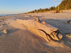 Travelnews.lv pirmo reizi apmeklē Gaujas ietekas labo krastu un Rīgas jūras līča pludmali saulrietā 8