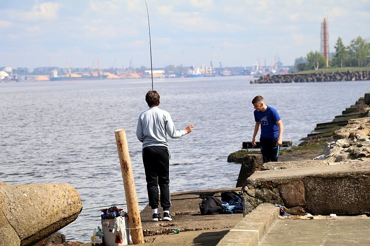 Travelnews.lv apmeklē Rietumu molu, Daugavgrīvas bāku un piedzīvo reņģu ķeršanu 301409