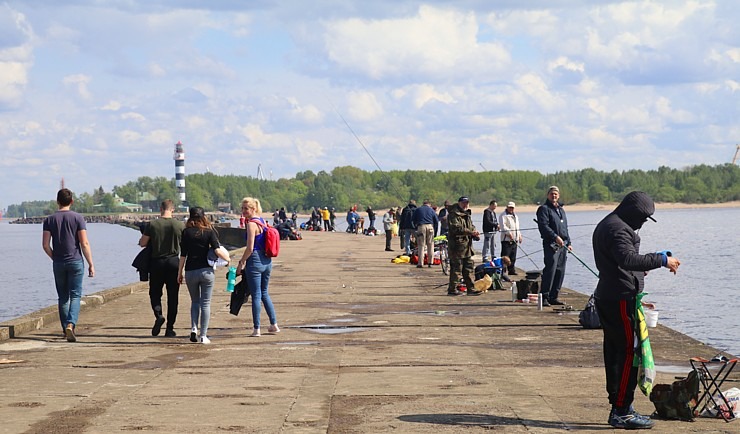 Travelnews.lv apmeklē Rietumu molu, Daugavgrīvas bāku un piedzīvo reņģu ķeršanu 301412