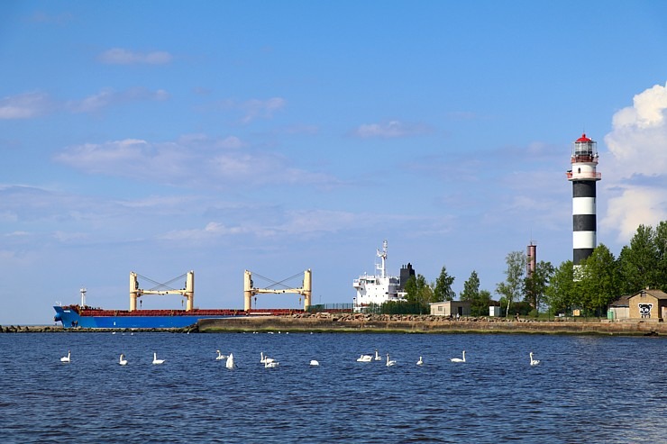 Travelnews.lv apmeklē Rietumu molu, Daugavgrīvas bāku un piedzīvo reņģu ķeršanu 301427