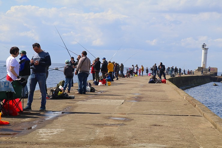 Travelnews.lv apmeklē Rietumu molu, Daugavgrīvas bāku un piedzīvo reņģu ķeršanu 301400