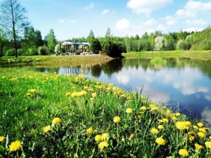 Ķeguma novadā ir atklāta ģimeniska svinību vieta ORANŽĒRIJA BEKUCIEMS 10