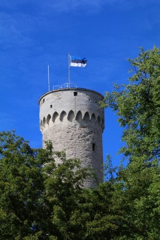 Travelnews.lv fotopiezīmes: Tallinas vecpilsēta slavējas ar viduslaiku torņiem 3