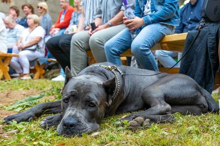 Nedēļas nogalē publika bauda pirmos Dienvidkurzemes festivāla “Rimbenieks” koncertus 303842