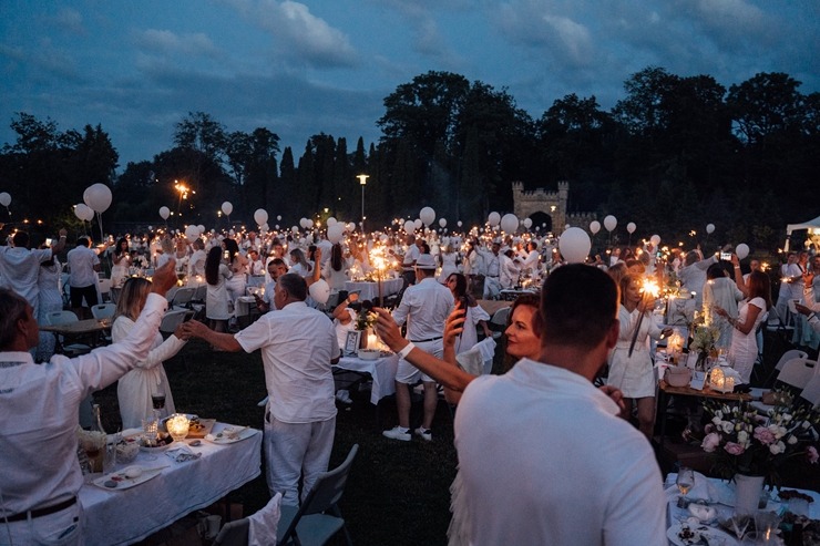 Baltais pikniks šovasar aizvadīts Siguldas pils parkā 304853