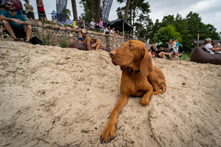 Aizvadīts gadskārtējais «BB Summer Jam» ar vairākām ekstrēmo sporta veidu sacensībām un labu mūziku 305130