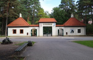 Rīgas Nacionālais zooloģiskais dārzs krusta mazos lauvēnus - «Varis» un «Teika» 30