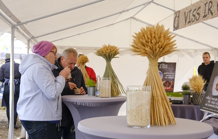 Rēzekne organizē iespaidīgu Miķeldienas grūbu tirgu. Foto: Inga Pudnika-Skerškāne 308017