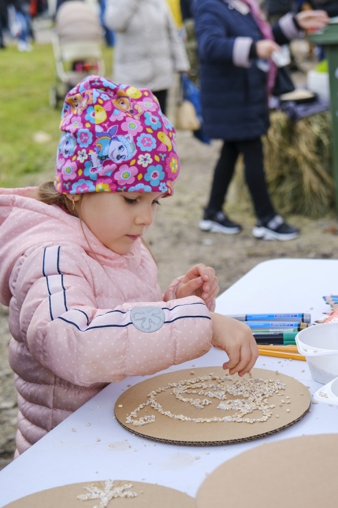 Rēzekne organizē iespaidīgu Miķeldienas grūbu tirgu. Foto: Inga Pudnika-Skerškāne 308042