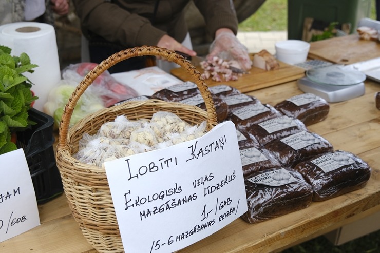 Rēzekne organizē iespaidīgu Miķeldienas grūbu tirgu. Foto: Inga Pudnika-Skerškāne 308013