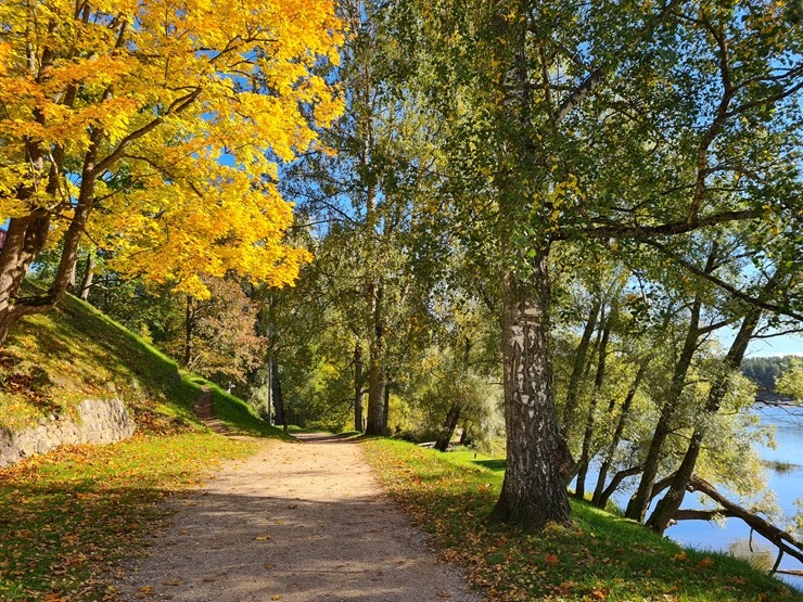 Valmieru izgreznojusi košā rudens vīra ota. Foto: Valmiera.lv 308054