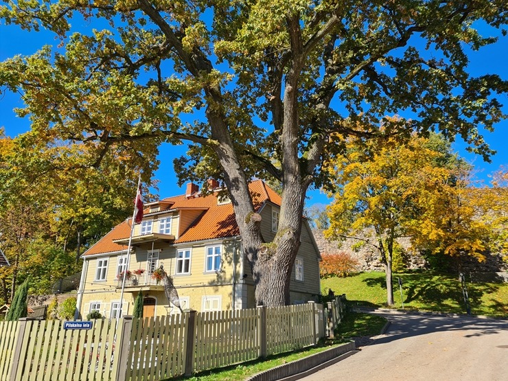 Valmieru izgreznojusi košā rudens vīra ota. Foto: Valmiera.lv 308055