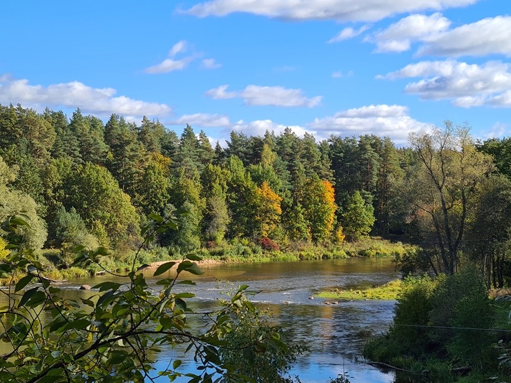 Valmieru izgreznojusi košā rudens vīra ota. Foto: Valmiera.lv 308046