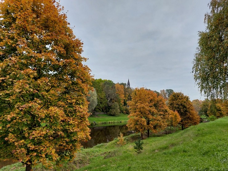 Valmieru izgreznojusi košā rudens vīra ota. Foto: Valmiera.lv 308047