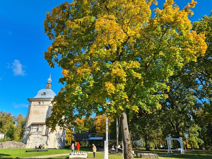 Valmieru izgreznojusi košā rudens vīra ota. Foto: Valmiera.lv 308049