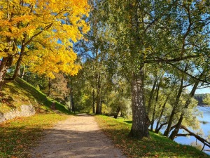 Valmieru izgreznojusi košā rudens vīra ota. Foto: Valmiera.lv 10