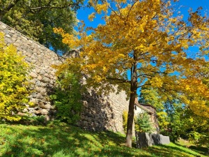 Valmieru izgreznojusi košā rudens vīra ota. Foto: Valmiera.lv 13