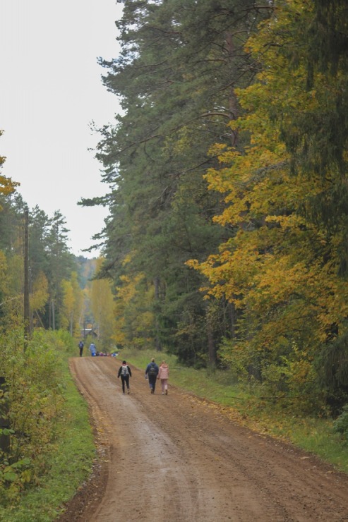 Iepazīsti 23 km pārgājienu Krāslavas novadā «Daugavas loki» 308676