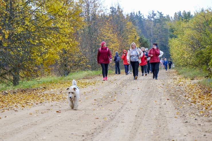 Iepazīsti 23 km pārgājienu Krāslavas novadā «Daugavas loki» 308679