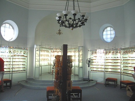 Dzintara muzejā ir ierīkots arī speciāls dzintara izstrādājumu veikals 16587