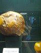 Saules akmens - muzeja lielākais eksponāts sver 3524 gramus 9