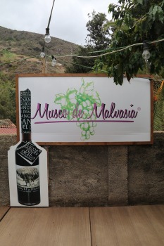 Travelnews.lv degustē un izbauda Tenerifes vīnus «Museo de Malvasia» 15