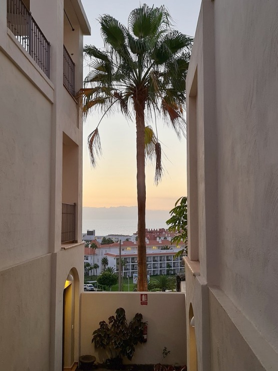 Travelnews.lv iepazīst romatisku Tenerifes viesnīcu «Hotel Vincci Selección La Plantación del Sur» 309384