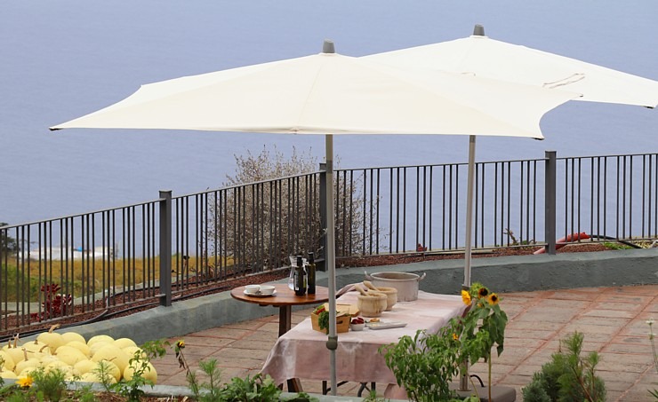 Travelnews.lv apciemo Tenerifes vīna darītavu «Bodegas Monje», kas darbojas kopš 1750.gada 309405