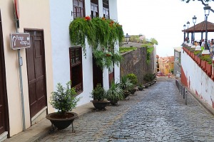 Iepazīstam tūkstošgadīgu pūķkoku «Dracaena draco» Tenerifes pilsētā Icod de los vinos 25