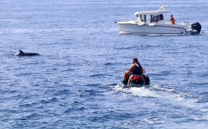 Travelnews.lv ar katamarānu Atlantijas okeānā vēro delfīnus un citas radības 3