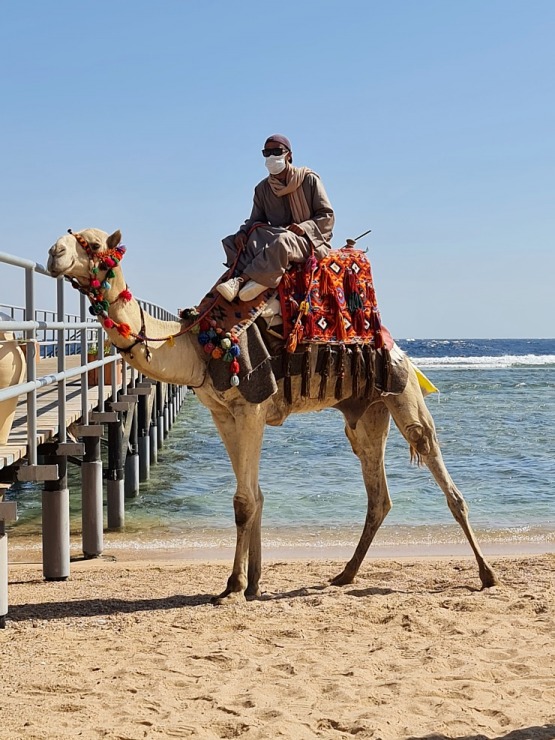 Šarm el Šeihas viesnīcas «Rixos Sharm El Sheikh Adult Friendly» piedāvā aktīvu pludmales dzīvi 310084