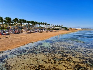 Šarm el Šeihas viesnīcas «Rixos Sharm El Sheikh Adult Friendly» piedāvā aktīvu pludmales dzīvi 5