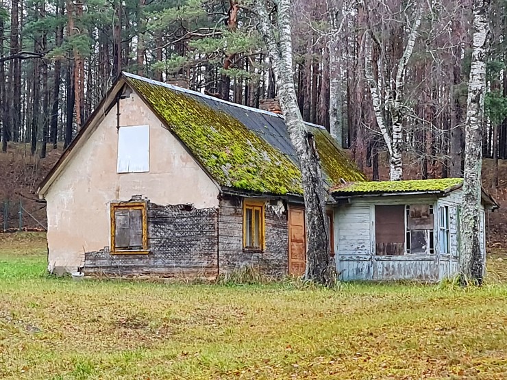 Travelnews.lv dodas 9 km pārgājiena uz Raga kāpu Jūrmalā 310448