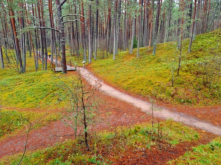 Travelnews.lv dodas 9 km pārgājiena uz Raga kāpu Jūrmalā 310425