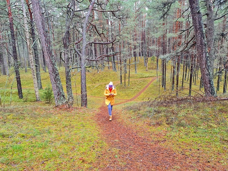 Travelnews.lv dodas 9 km pārgājiena uz Raga kāpu Jūrmalā 310429