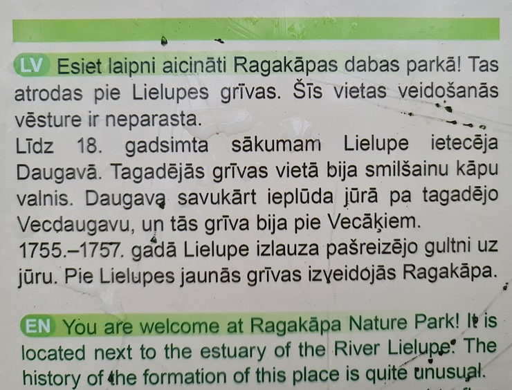 Travelnews.lv dodas 9 km pārgājiena uz Raga kāpu Jūrmalā 310430