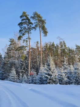 Travelnews.lv ar auto nomas «Avis Latvija» spēkratu ceļo uz Latgali, svinēt Ziemassvētkus 46