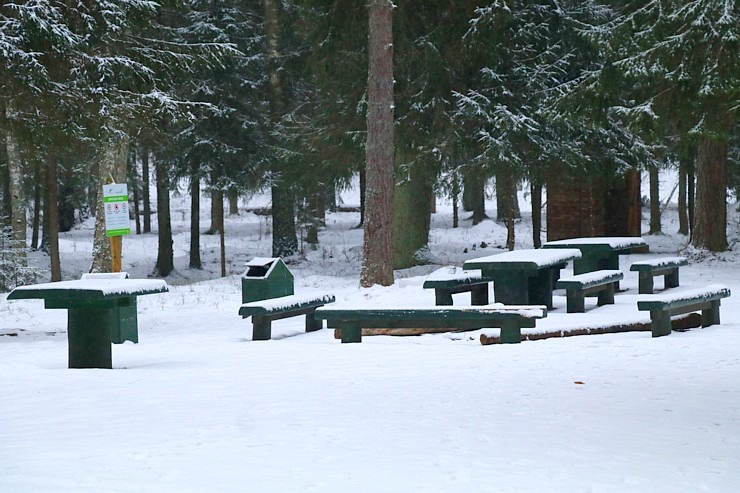 Travelnews.lv dodas 26 km pārgājienā Ložmetējkalna apkārtnē Jelgavas novadā 312964