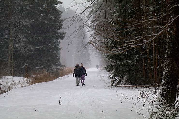 Travelnews.lv dodas 26 km pārgājienā Ložmetējkalna apkārtnē Jelgavas novadā 312971