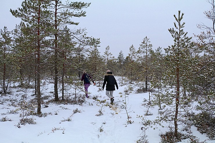 Travelnews.lv dodas 26 km pārgājienā Ložmetējkalna apkārtnē Jelgavas novadā 312972