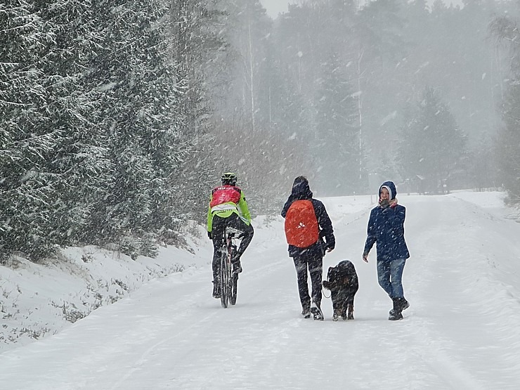 Travelnews.lv dodas 26 km pārgājienā Ložmetējkalna apkārtnē Jelgavas novadā 312980