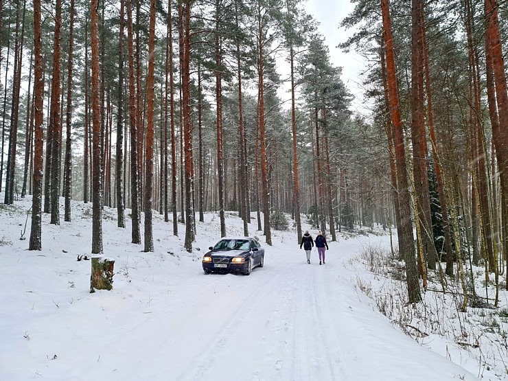 Travelnews.lv dodas 26 km pārgājienā Ložmetējkalna apkārtnē Jelgavas novadā 312995