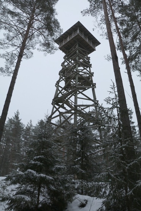 Travelnews.lv dodas 26 km pārgājienā Ložmetējkalna apkārtnē Jelgavas novadā 312956