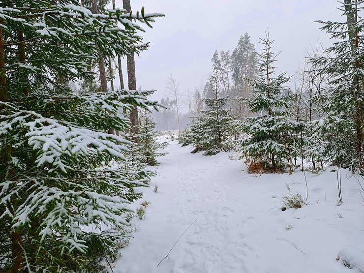 Travelnews.lv dodas 26 km «PostNos» pārgājienā Ložmetējkalna apkaimē 313025