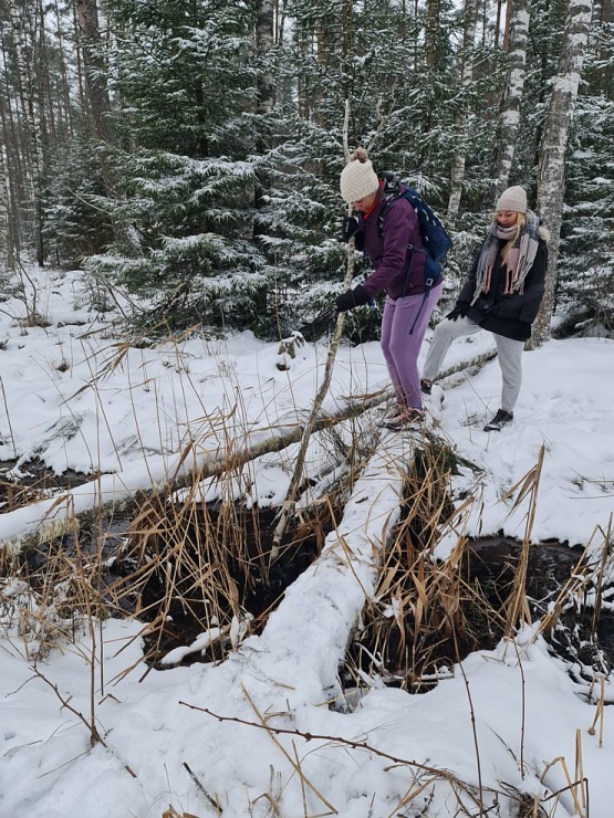 Travelnews.lv dodas 26 km «PostNos» pārgājienā Ložmetējkalna apkaimē 313028